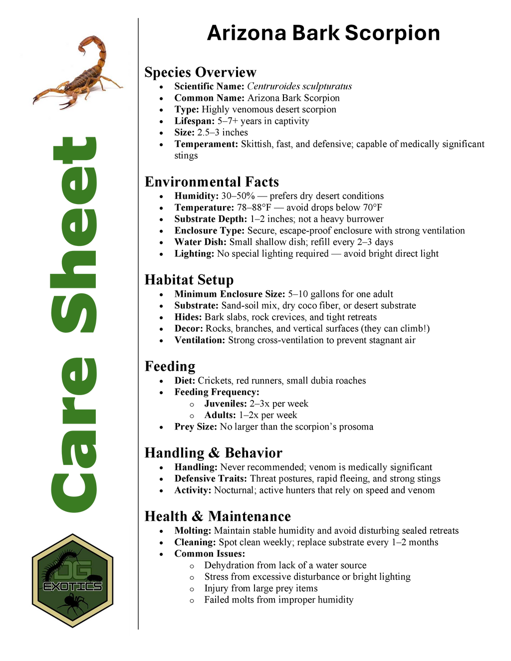 Arizona Bark Scorpion