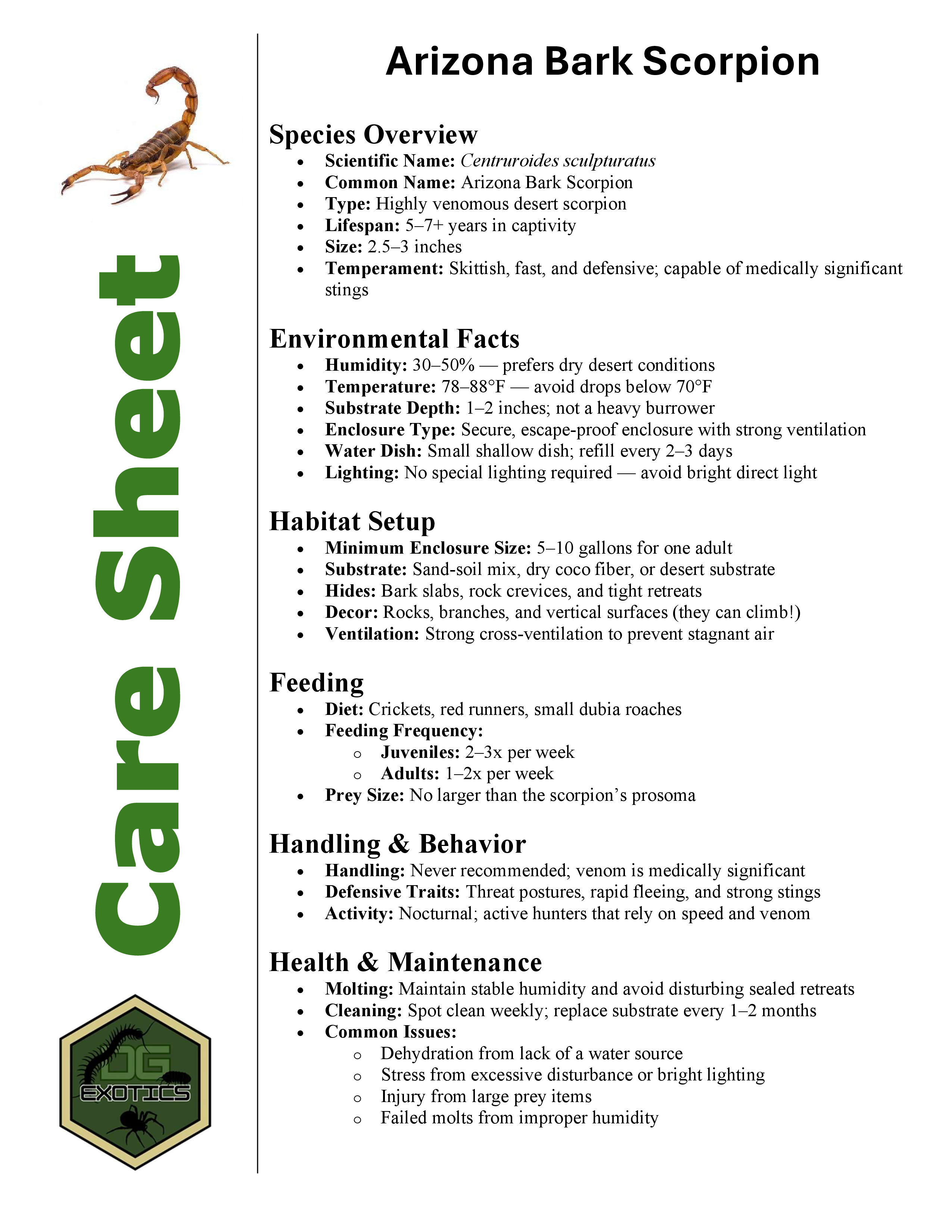 Arizona Bark Scorpion